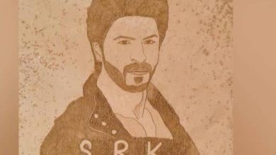 Shah Rukh Khan का सबसे बड़ा स्केच देखा क्या? पाकिस्तानी सैंड आर्टिस्ट ने बीच पर दिखाई कलाकारी