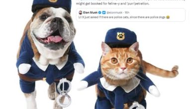 पुलिस टीम में कुत्ते तो होते हैं लेकिन बिल्लियां क्यों नहीं? मस्क के सवाल पर पुलिस ने दिया जवाब