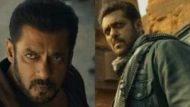 सलमान खान की 'टाइगर 3' का टीजर रिलीज, फैंस बोले- 'ये दिवाली टाइगर वाली'
