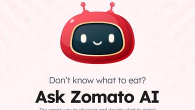 Zomato ऐप में भी आया AI सपोर्ट, अब चैटबॉट बताएगा कि आपको कब, कैसे और क्या खाना चाहिए 